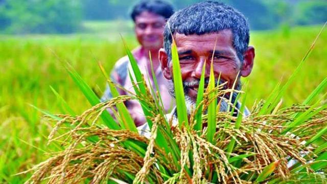 কায়িক পরিশ্রম না করলে স্বাস্থ্যঝুঁকিতে পড়বে ৫০ কোটি মানুষ