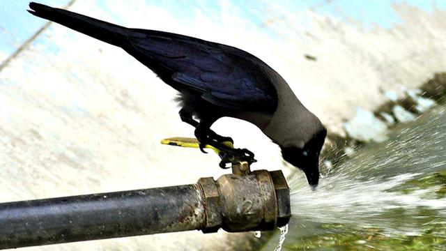 ১৮ জেলায় তাপদাহ, আরও পোড়াবে সাত দিন