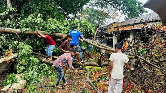 মোখায় লন্ডভন্ড সেন্টমার্টিন: নিহত ১