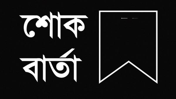 মাতৃস্বাস্থ্যের প্রোগ্রাম ম্যানেজার ডা. আজিজুল আলীম আর নেই