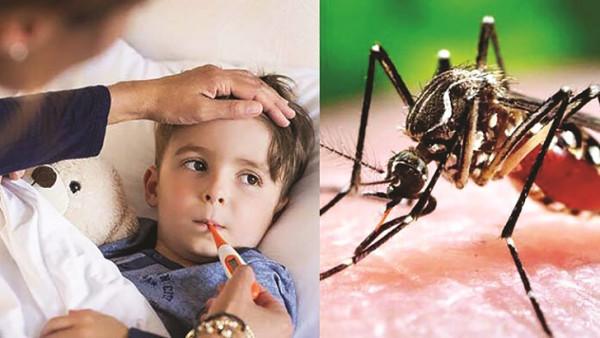 ডেঙ্গুর চিকিৎসায় শ্রীলঙ্কা মডেল অনুসরণ করবে বাংলাদেশ