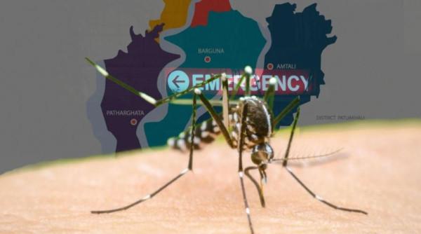 বরগুনায় ডেঙ্গুর প্রকোপ মহামারি আকার ধারণ করেছে