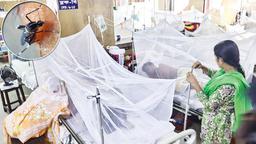 একদিনে ডেঙ্গুতে ৬ জনের মৃত্যু