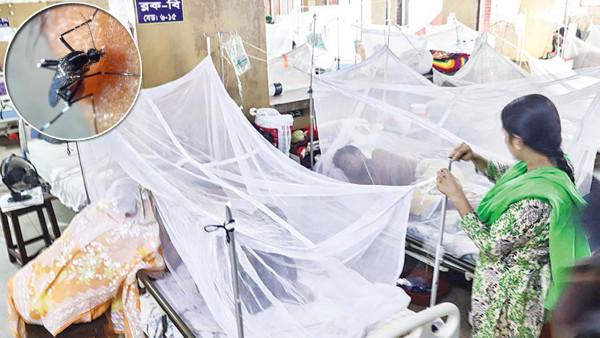 একদিনে ডেঙ্গুতে ৬ জনের মৃত্যু