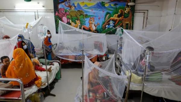২৪ ঘন্টায় ডেঙ্গুতে নতুন আক্রান্ত ৬৬৪ জন