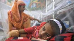 ২৪ ঘণ্টায় ডেঙ্গুতে আরও ১ জনের মৃত্যু, হাসপাতালে ভর্তি ৬১৯ জন