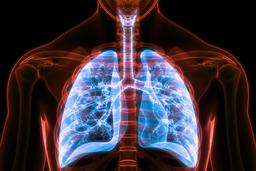 ধূমপান আর দূষণে বাড়ছে COPD–এর শ্বাসরোধী প্রভাব
