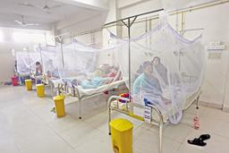 ডেঙ্গুতে আরও দুইজনের মৃত্যু, ২৪ ঘণ্টায় হাসপাতালে ভর্তি ৪৫৫ জন