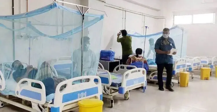 ডেঙ্গুতে আরও ৮ জনের মৃত্যু, আক্রান্ত ১৭৮২