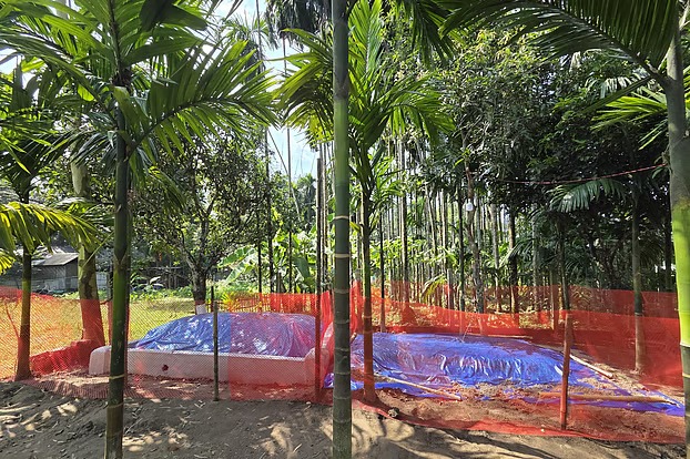 ডেঙ্গুতে ৩ সপ্তাহের ব্যবধানে ২ ছেলে হারানোর শোক