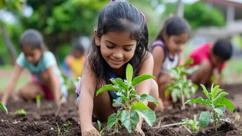 শিক্ষার্থীদের সংখ্যানুপাতে বৃক্ষরোপণের পরিকল্পনা তৈরির নির্দেশ প্রাথমিক শিক্ষা অধিদপ্তরের